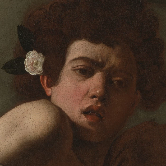 Boy Bitten by a Lizard
